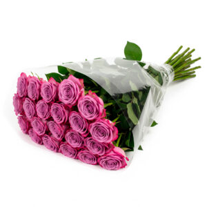 گل رز نایتینگل